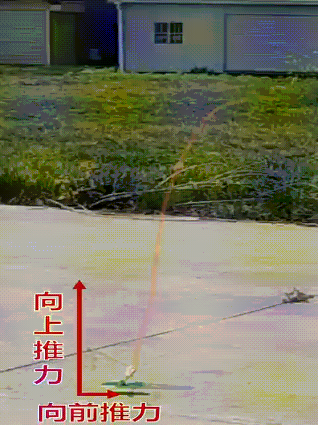9.gif