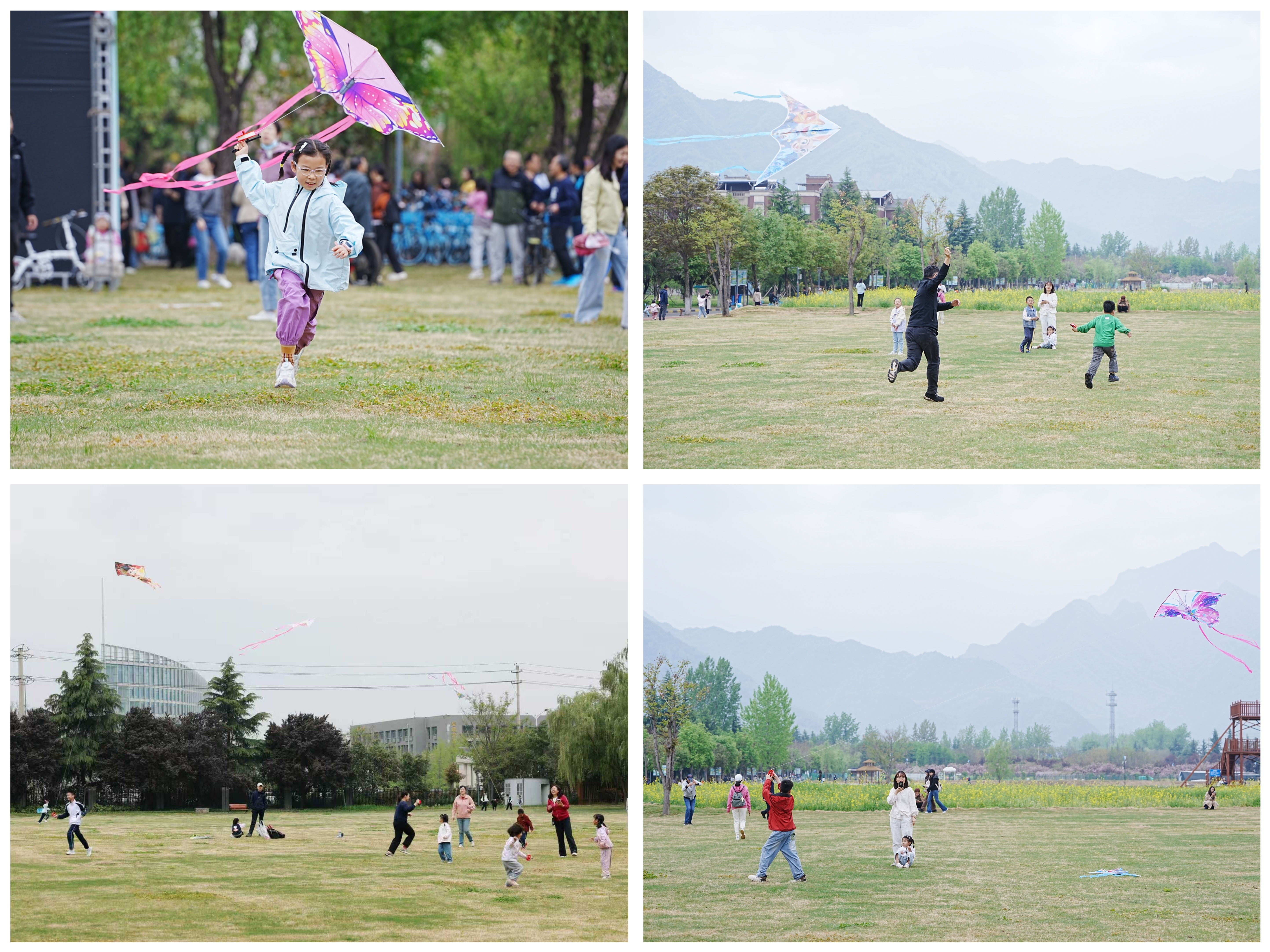 微信图片_20260413160808_207_2.jpg 微信图片_20260413160808_207_2.jpg