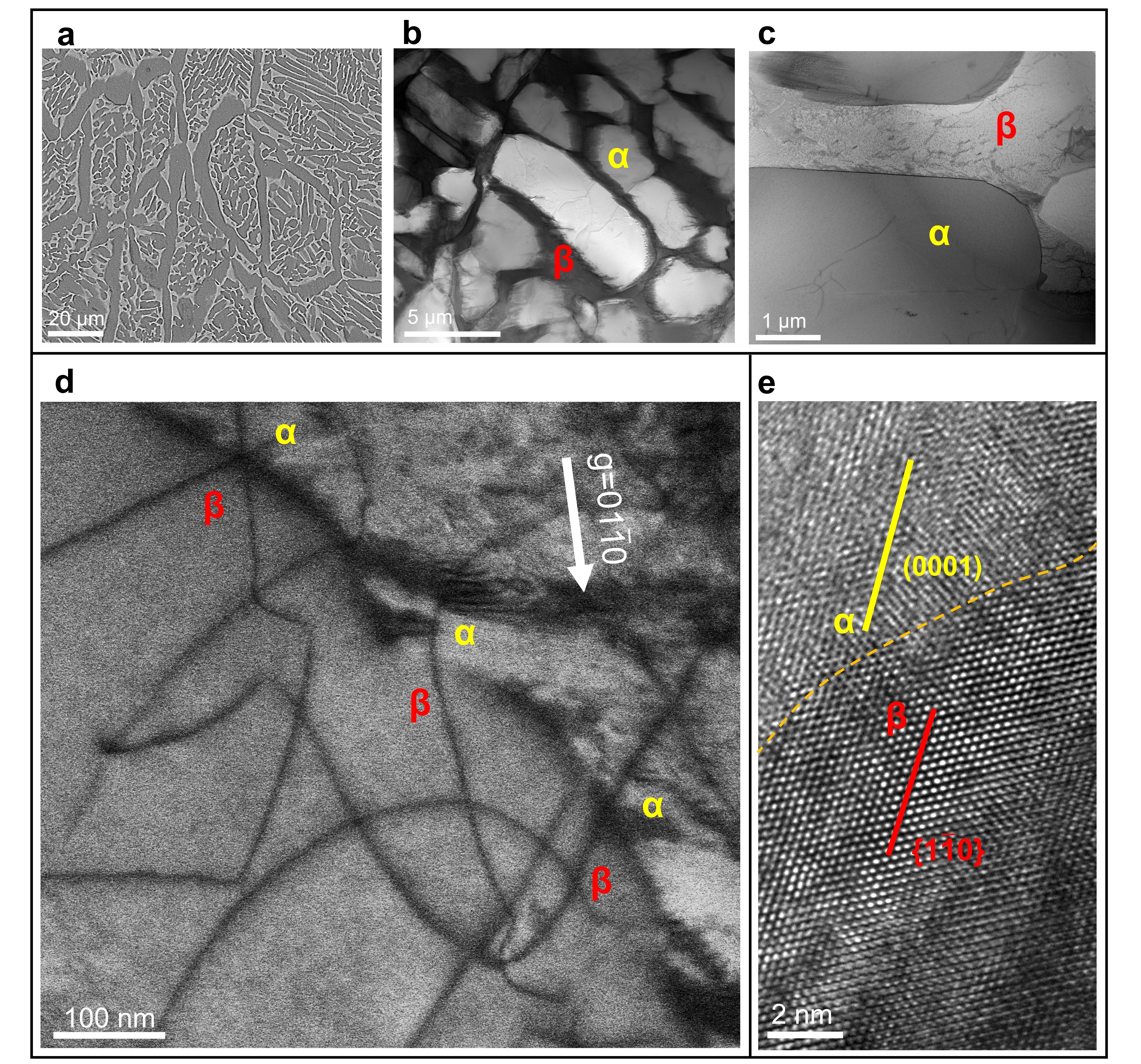 图片3.jpg 图片3.jpg