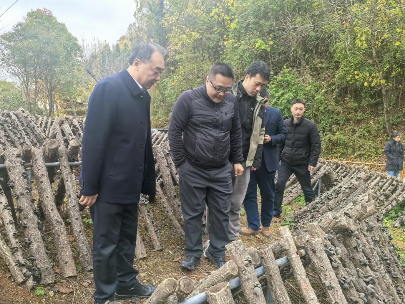 图片7.jpg